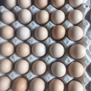Desi Eggs Wholesalers in India - Daulat Hatcheries